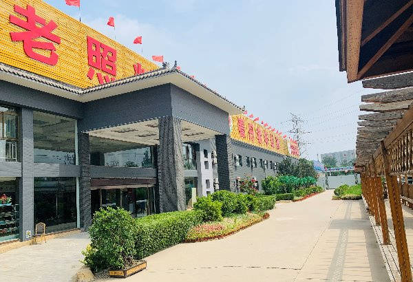 普乐时光、康梦圆国际老年公寓 2026最新认知症老人需心理调节哪家中心有专业心理师？(图2)