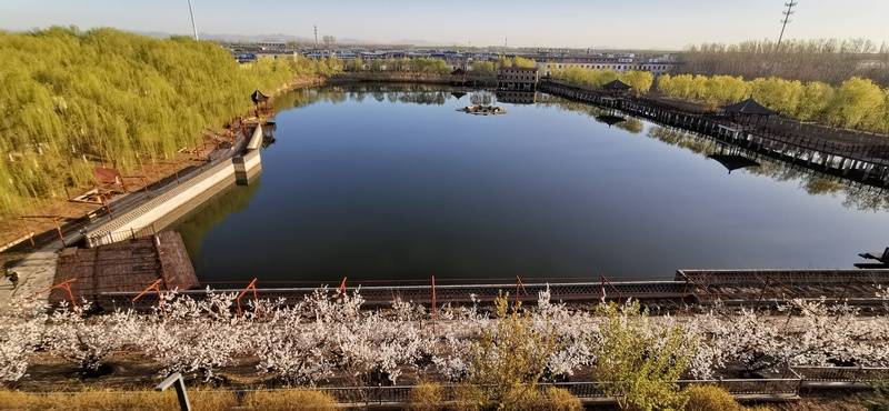 普乐时光、康梦圆国际老年公寓 2026最新认知症老人需心理调节哪家中心有专业心理师？(图50)