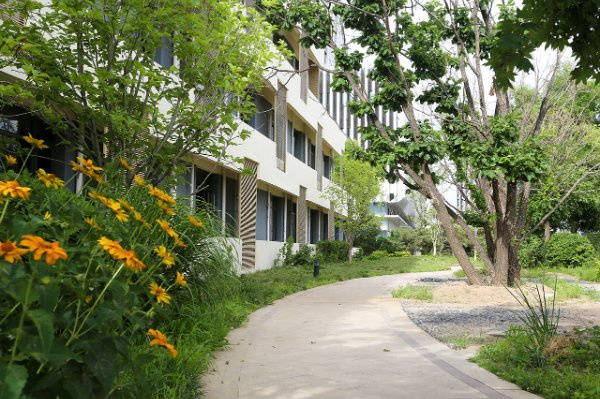 普乐时光、康梦圆国际老年公寓 2026最新认知症老人需心理调节哪家中心有专业心理师？(图54)